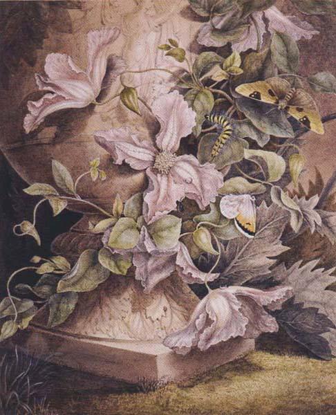 Mrs Theodore Henry Fielding Still-life (mk47) France oil painting art